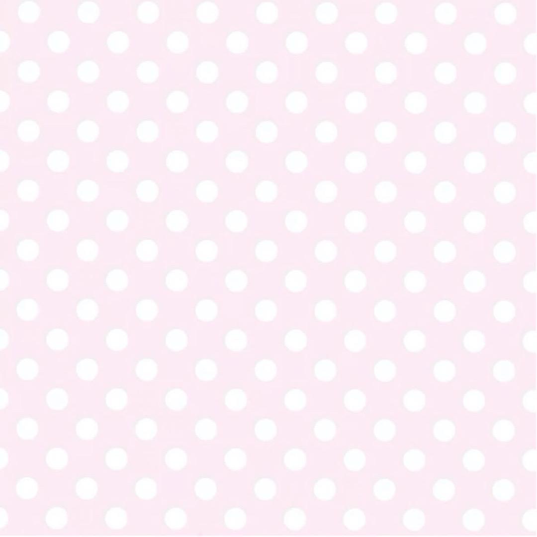 @꒰ঌ໒꒱ ˚₊ ℳ𝒾𝓈ℴ ₊˚🪽ෆ