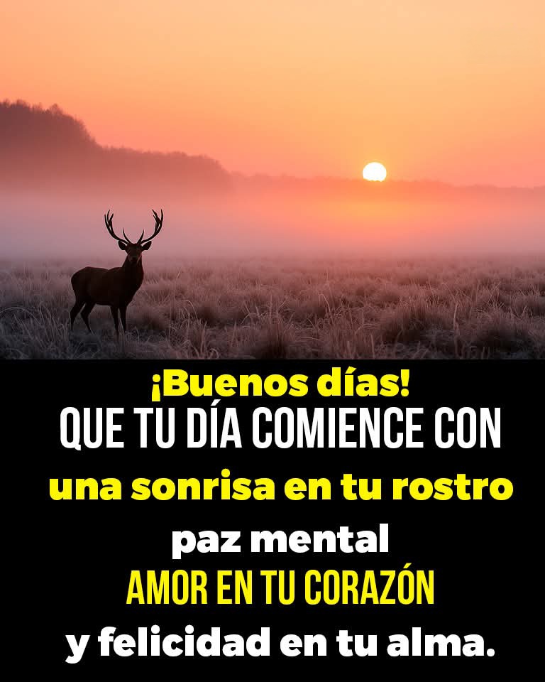 @AnitaP🌷🌷