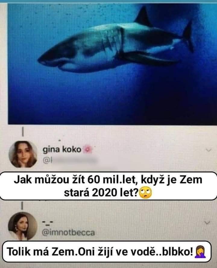 @๐๐ฏ๐ฐ๐ธ๐บ๐น๐ธ๐ฌ๐ฝ๐ฟ๐ฌ๐พ๐