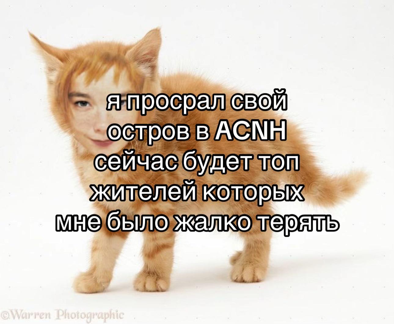 @𝒷𝒶𝓎ℴ𝓃ℯ𝓉𝓉𝒶𝓂𝓎𝓌𝒾𝒻ℯ