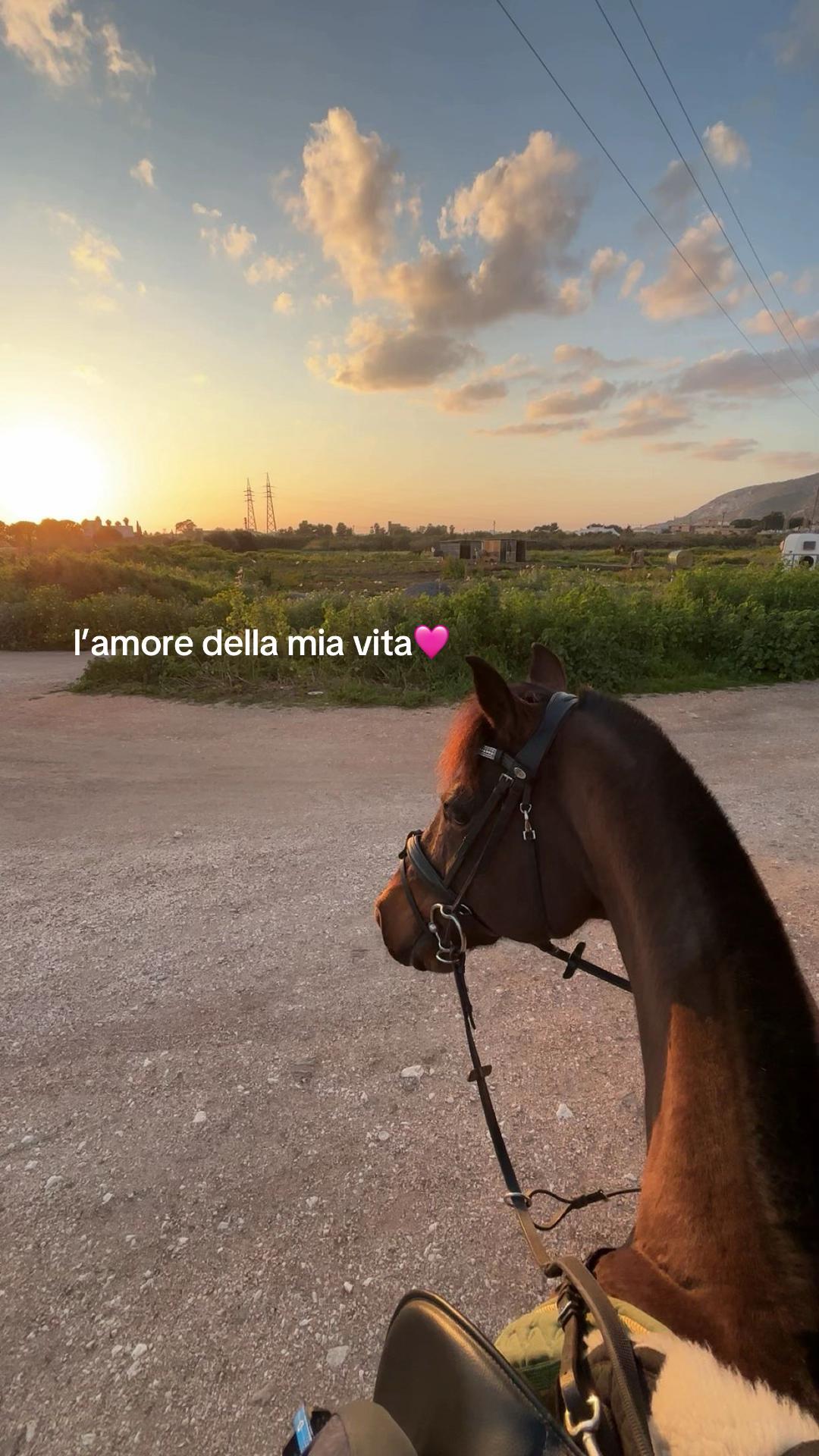@Leana_sedici_