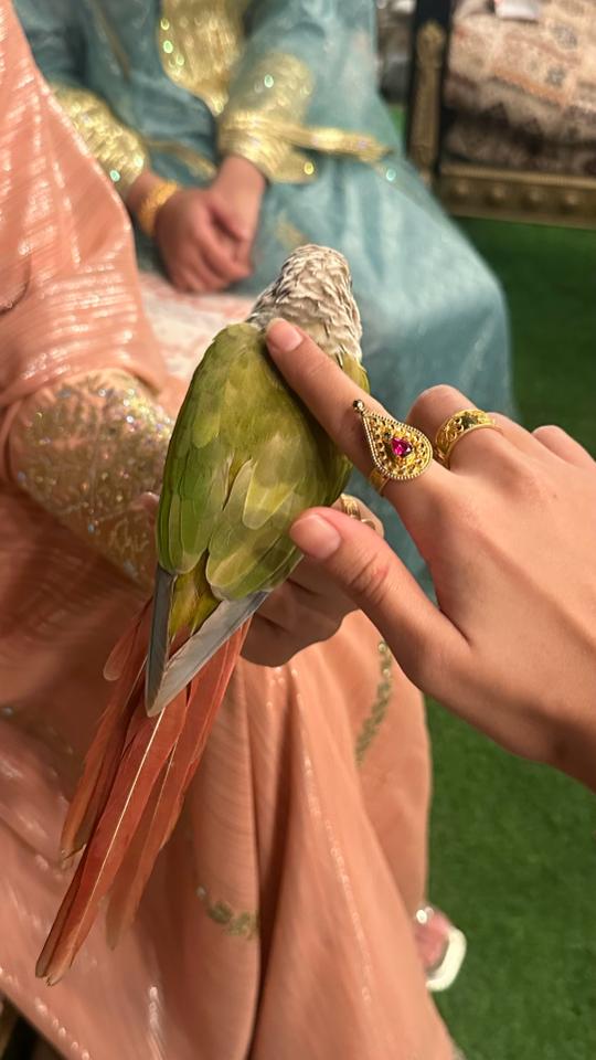 @مـريَــم