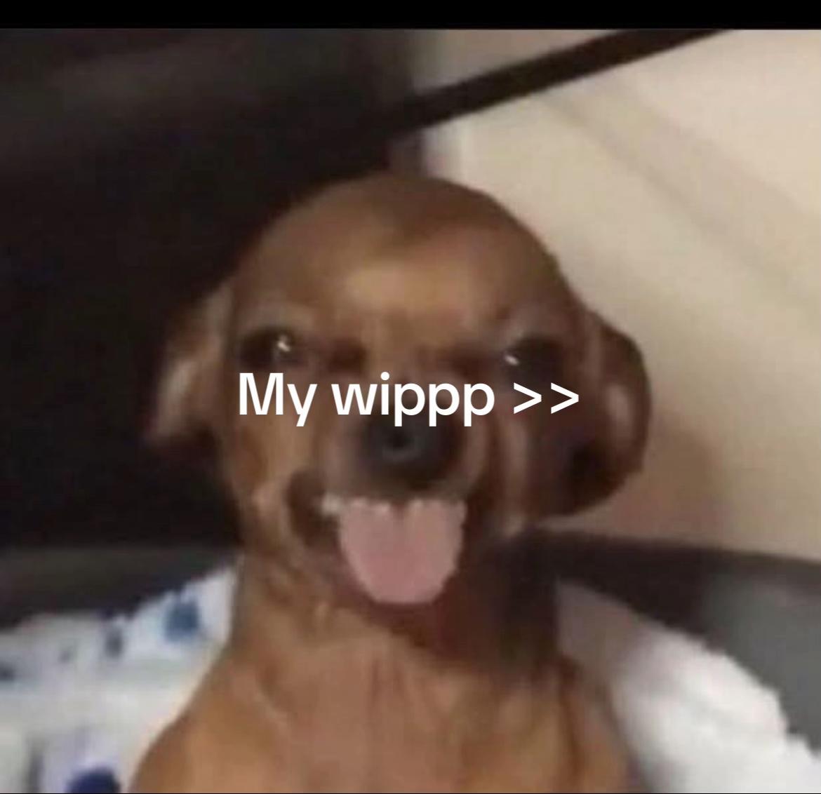 @notchris