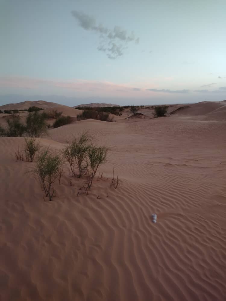 @الشر219يف