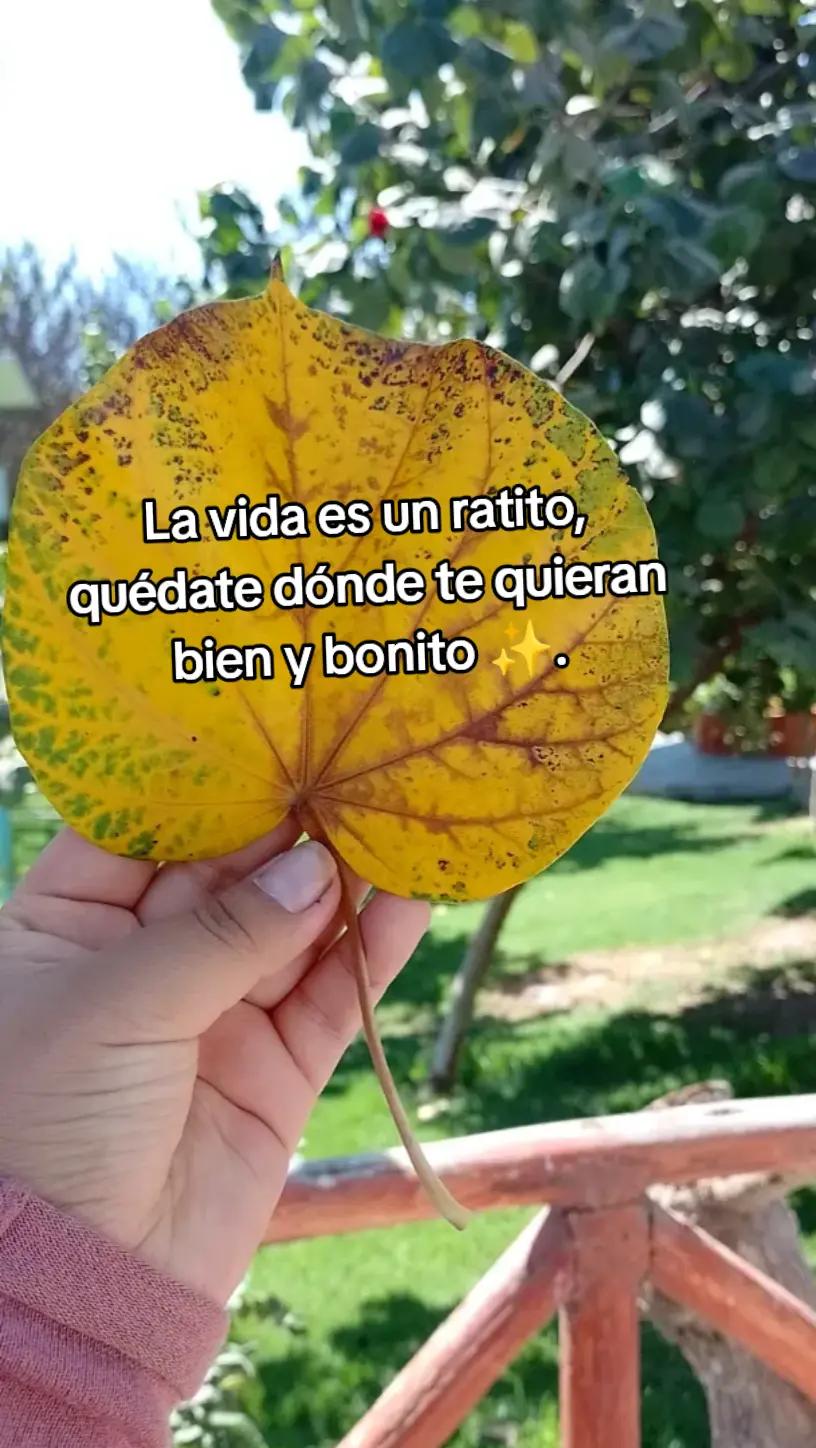 @Hanehaney