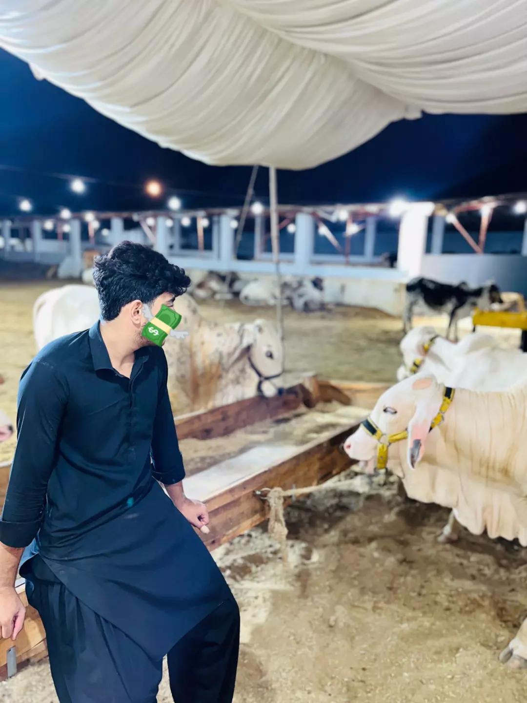 @Daniyal💸🕊️🖤