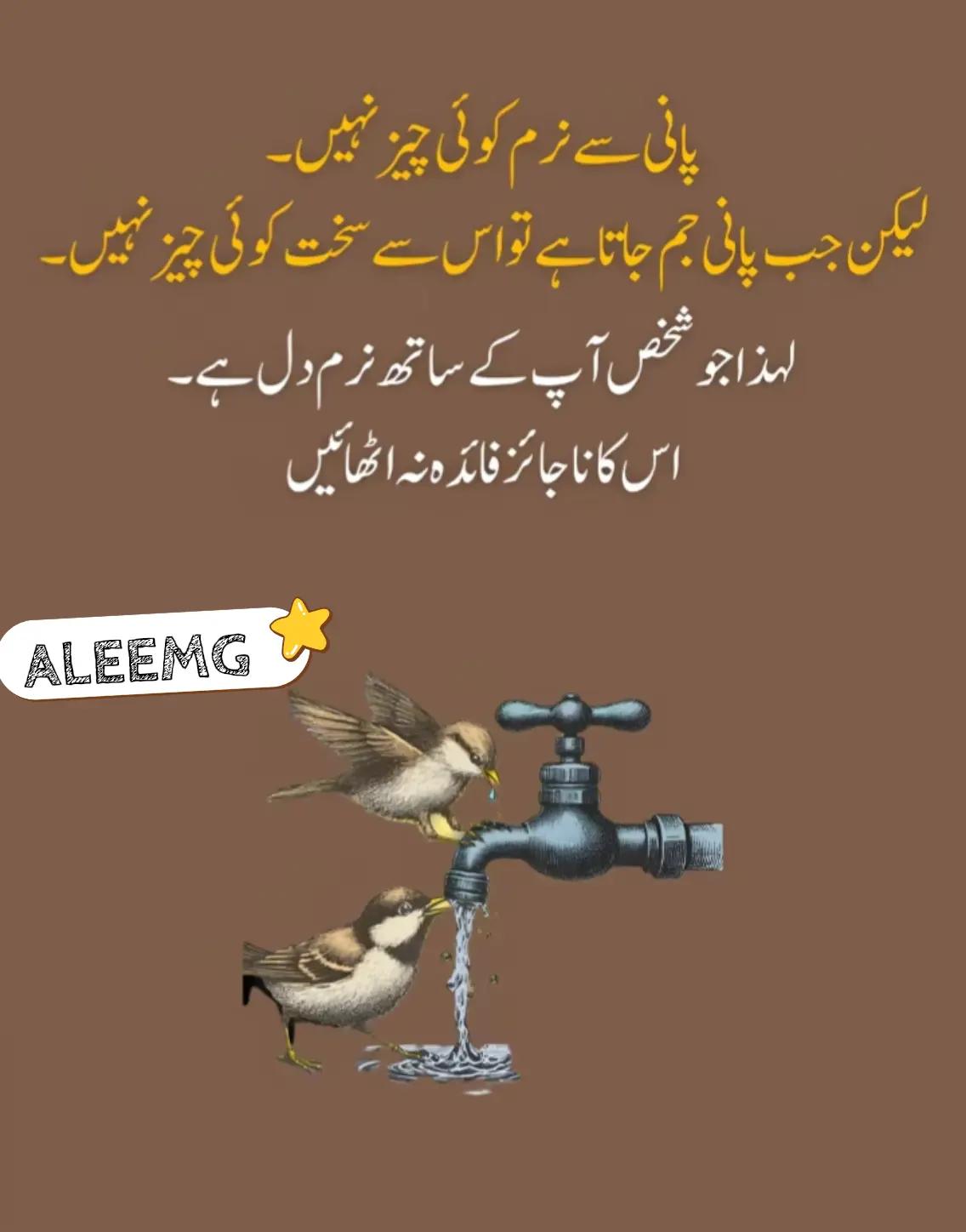 @aleem 96