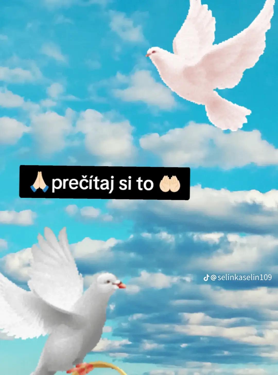 @Romana Tancosova