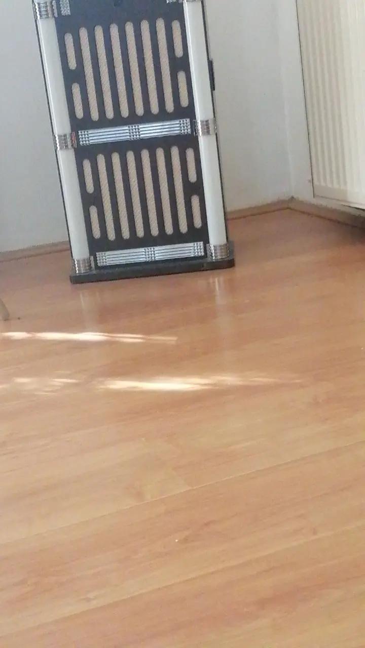 @_ Neskovic _