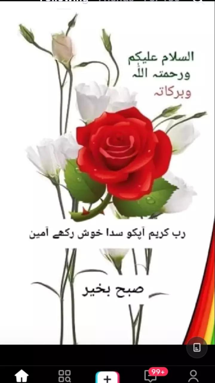 @abdulsattar