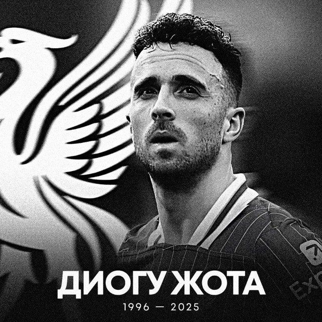 @zenitfanspd