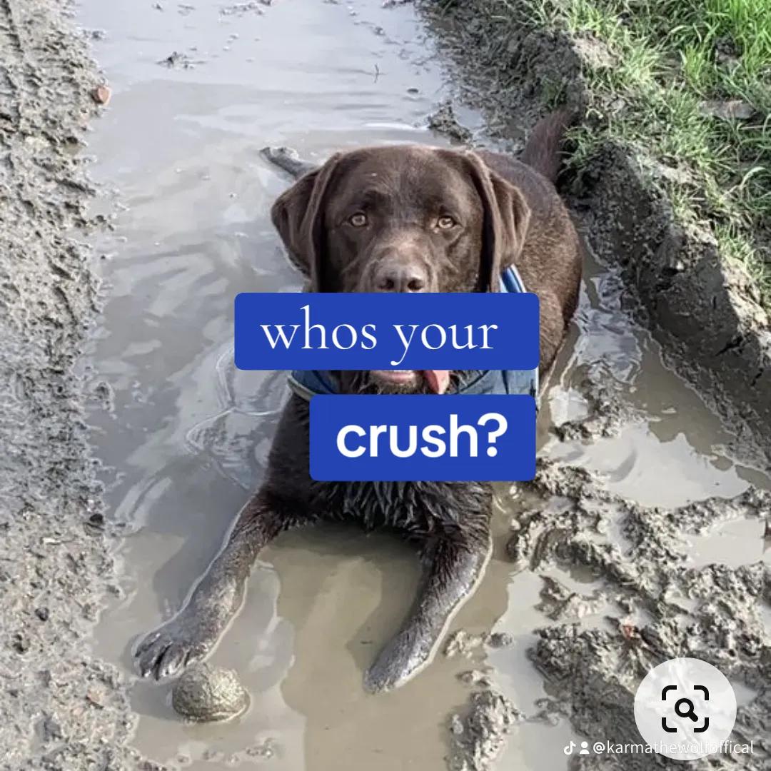 @🐾🌪️~Karma~🌪️🐾