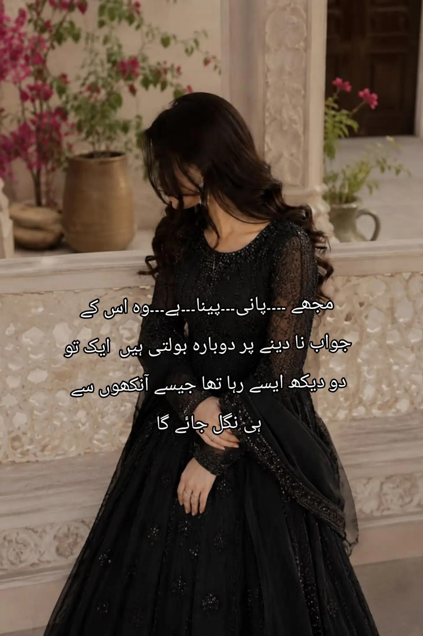 @《~•novel writer •~》