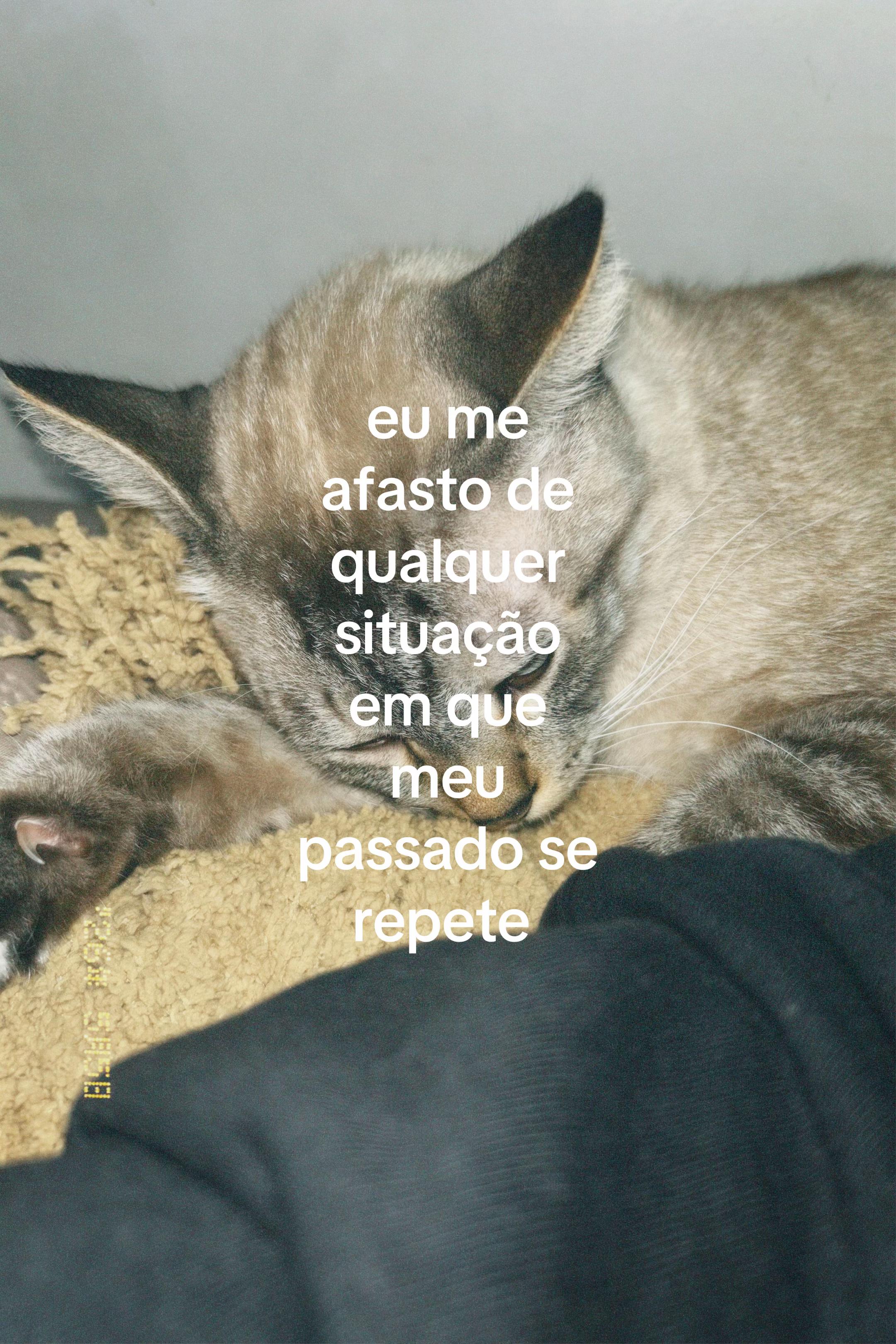 @gihmed