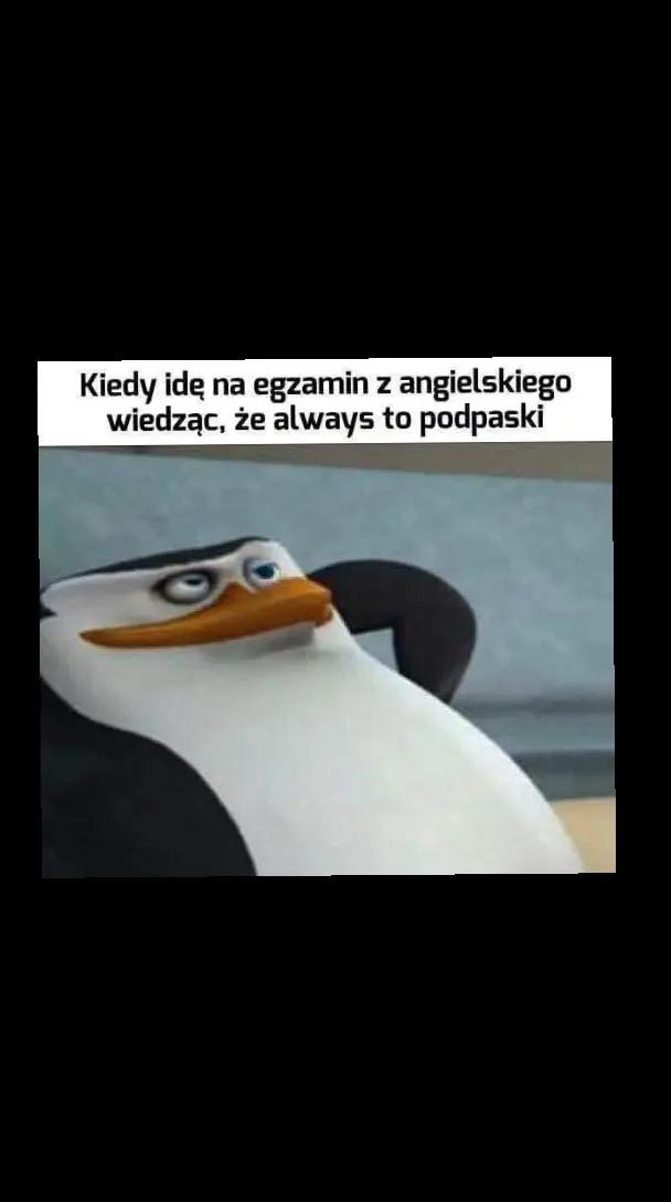@Aneczka007🇵🇱♡🇺🇲