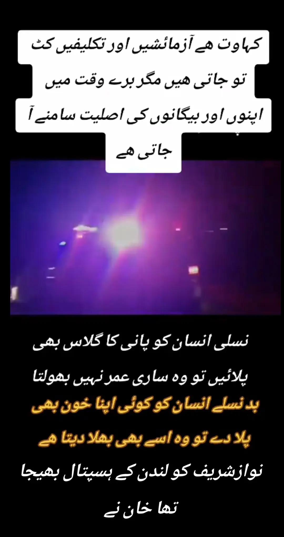 @اڈیالہ 804