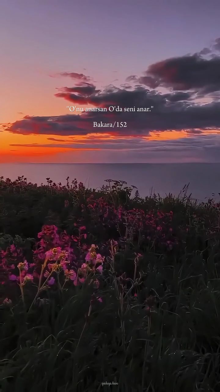 @إليف💕