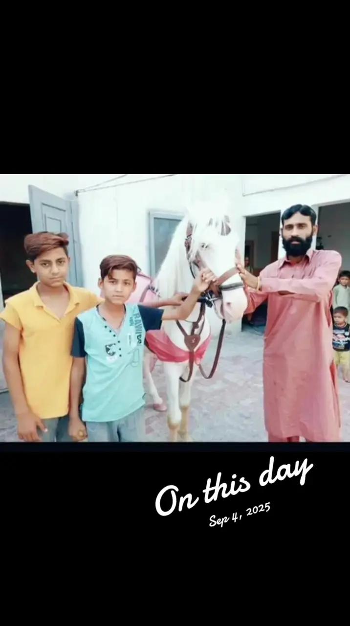 @Rana Jani