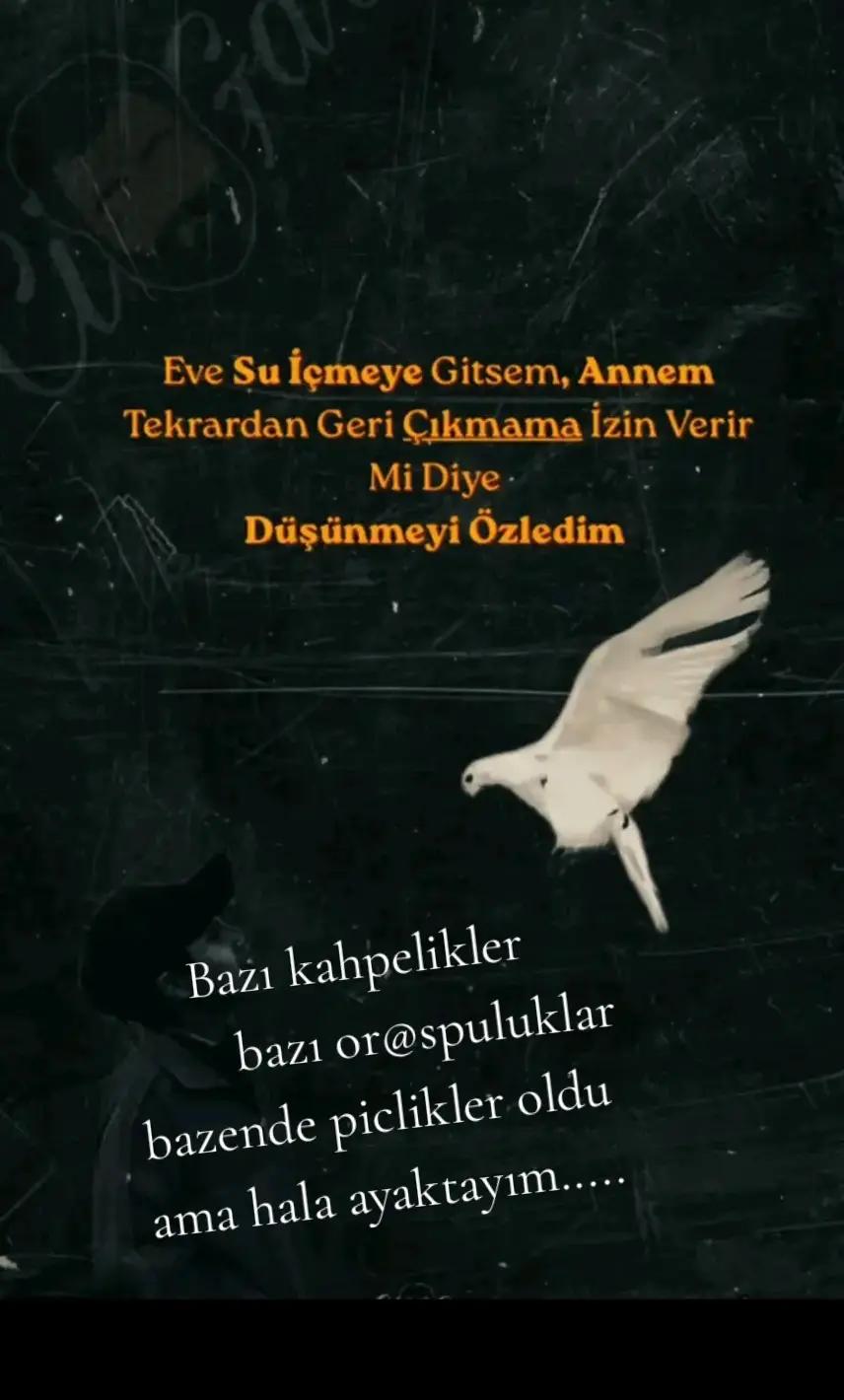 @erkusl