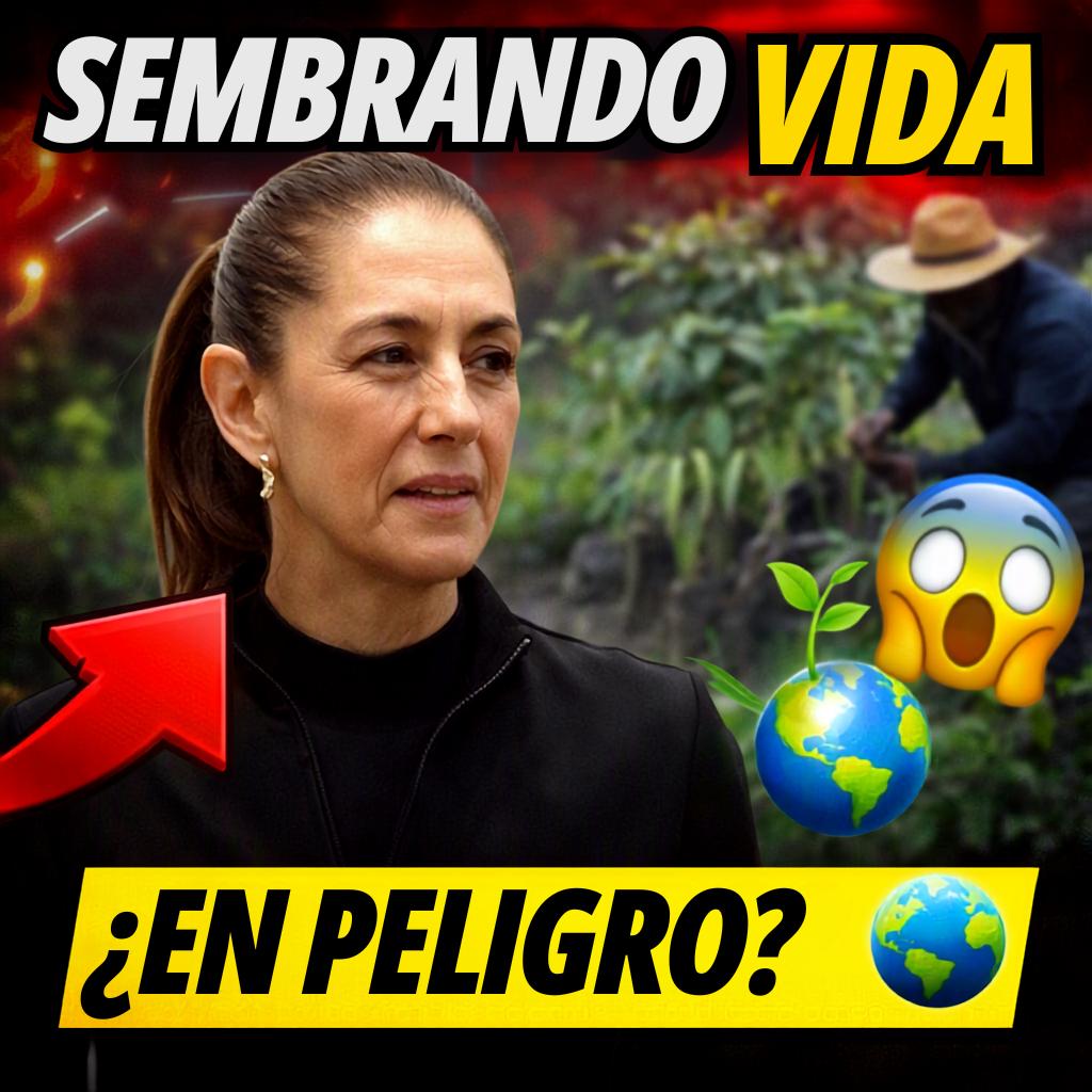 @Epicentro Noticias