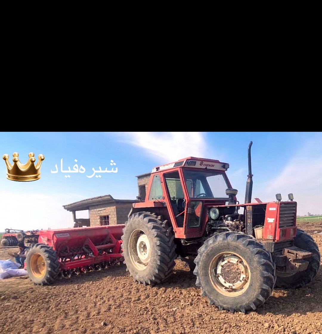 @⚜️RSHO VLV🚛