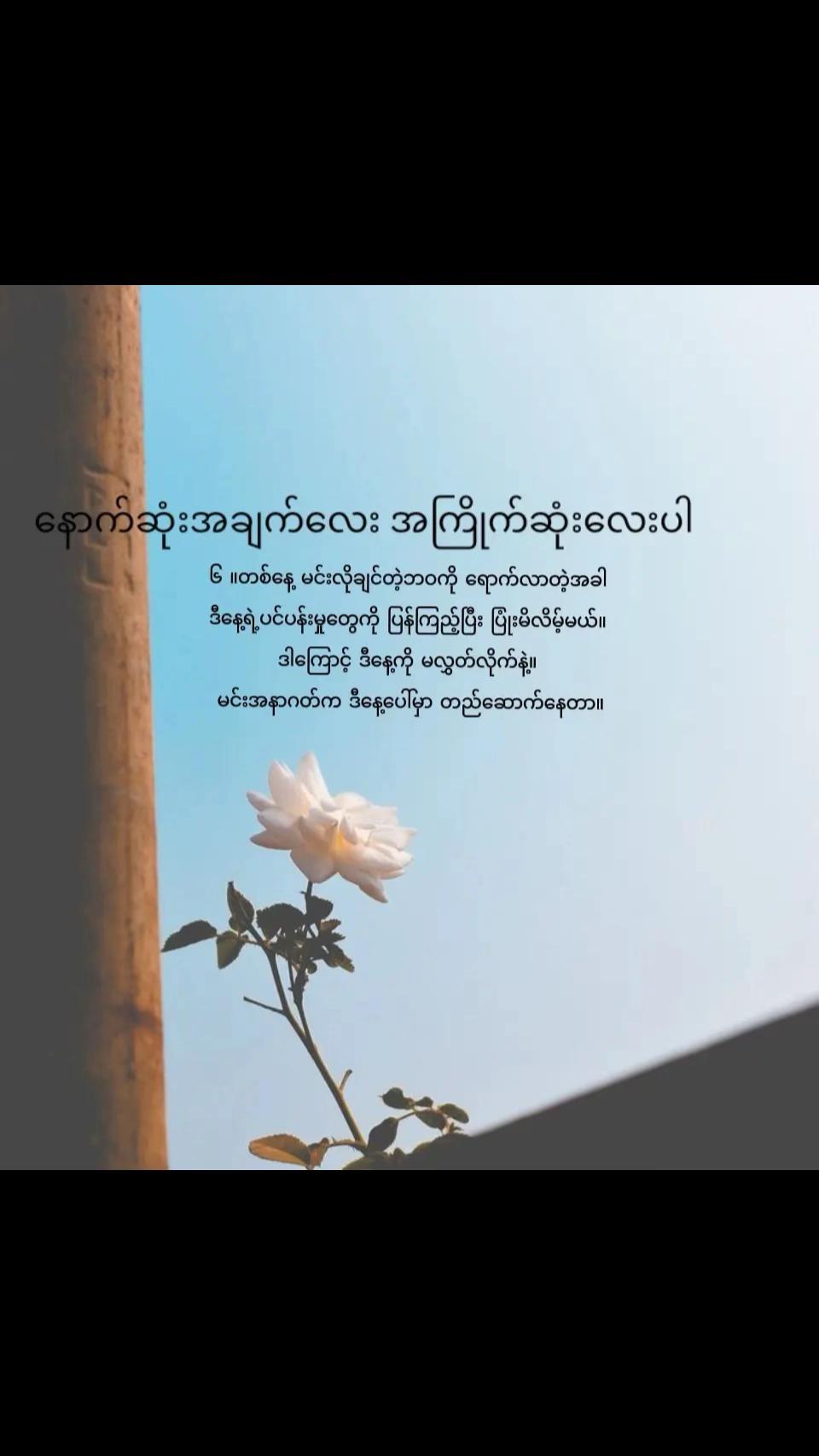 @Thi Thi Naing@Crystalthi
