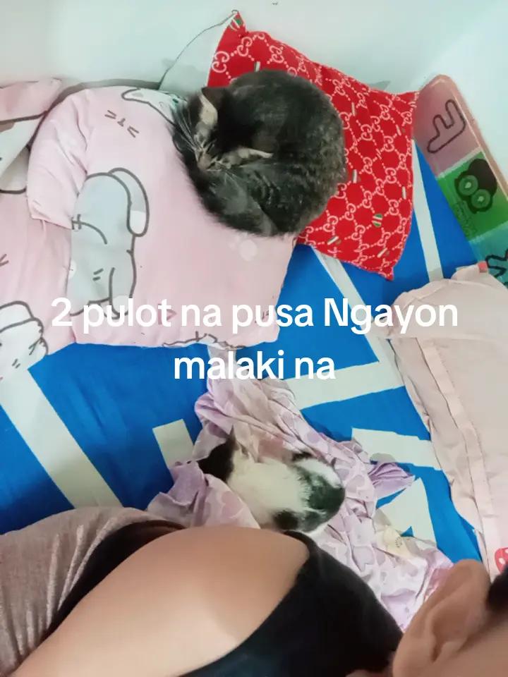 @cheiruuuuu