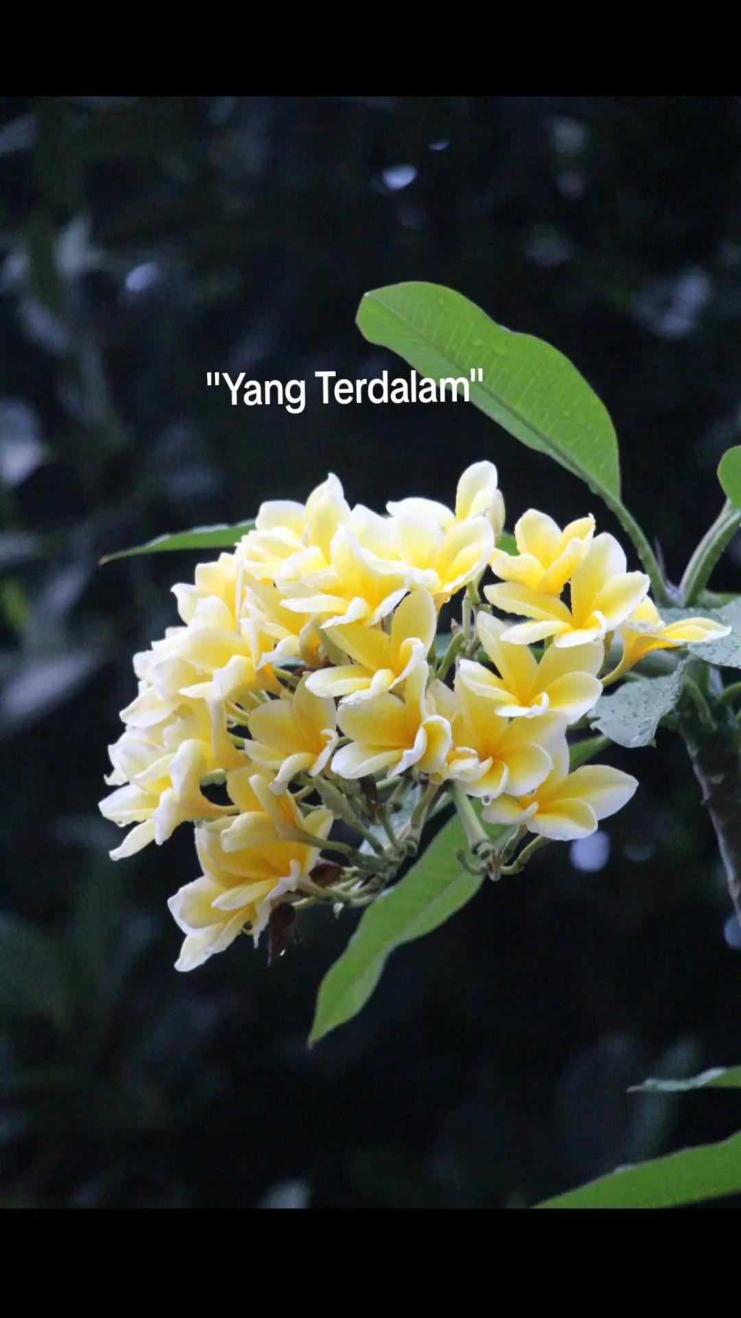 @Dyah Retnaningrum