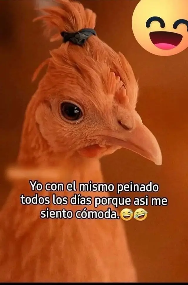 @🍩🌶️Analapotrabella10🍩🌶️