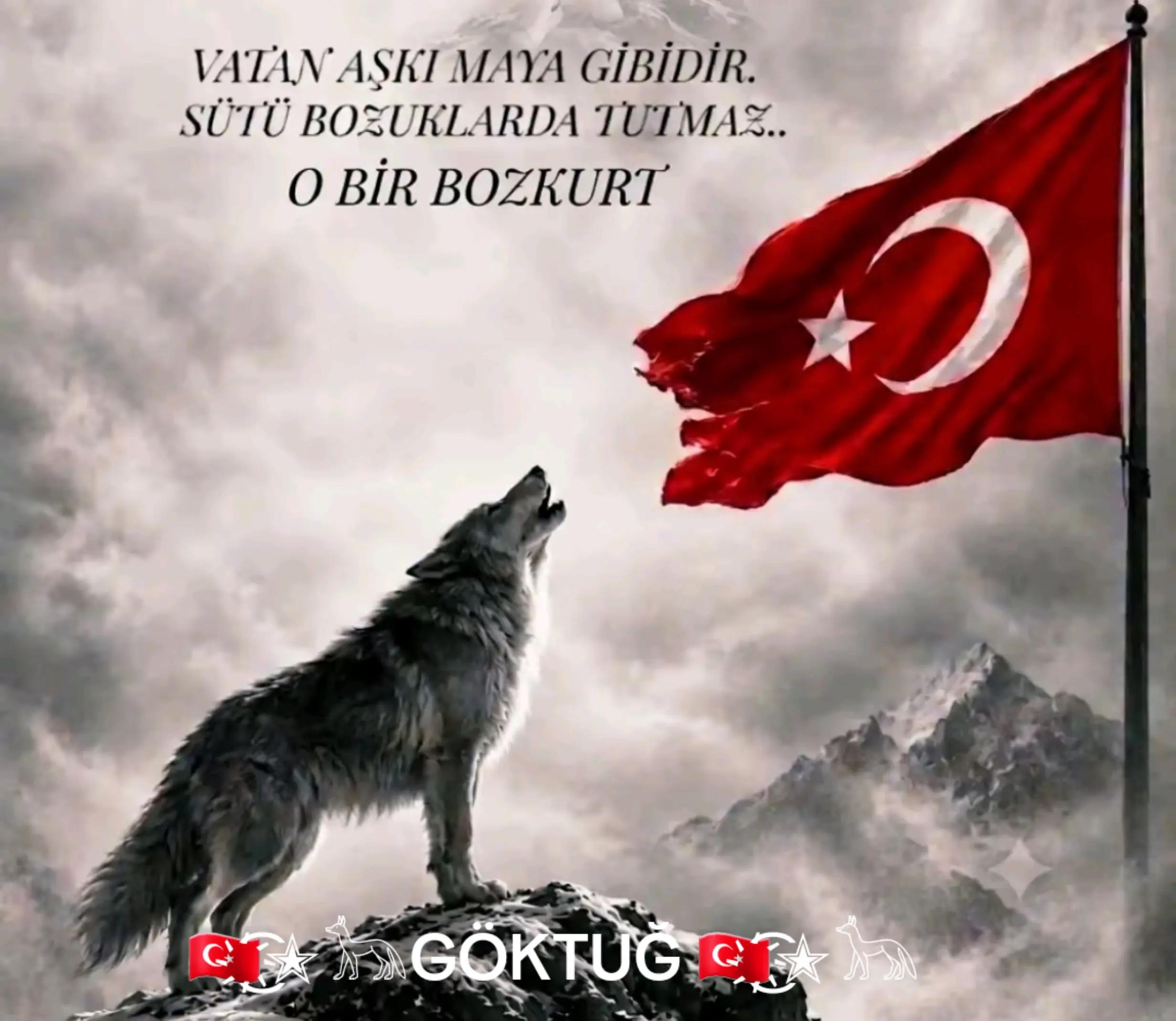 @🇹🇷҉͜͡✭𓃥G&Ouml;KTUĞ 🇹🇷҉͜͡✭𓃥