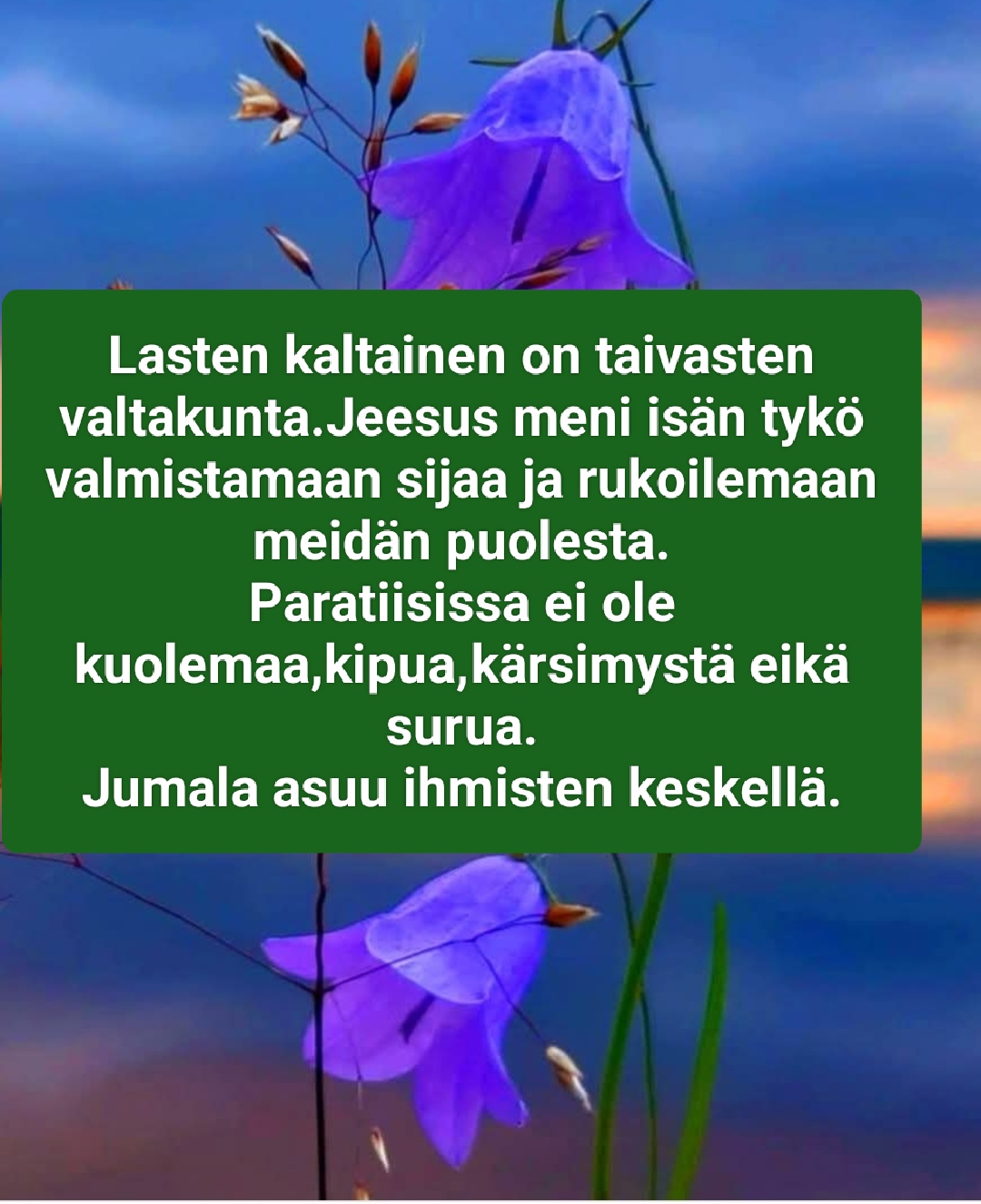 @PilviLumi