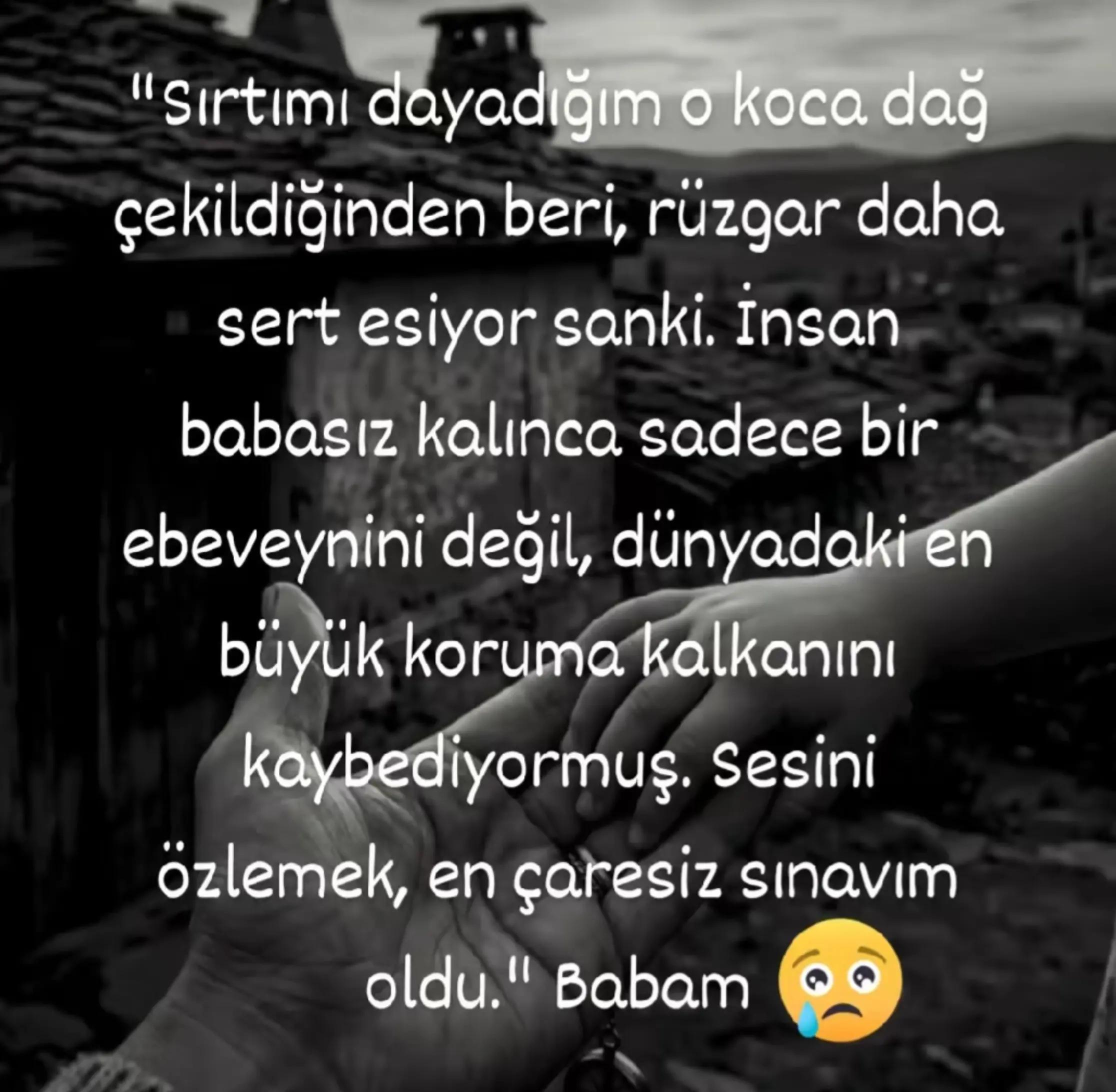 @shryln