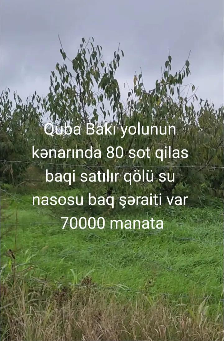 @Feran Mehtiyev