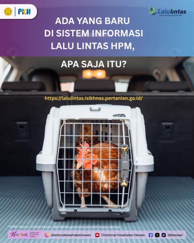 @DITKESWAN