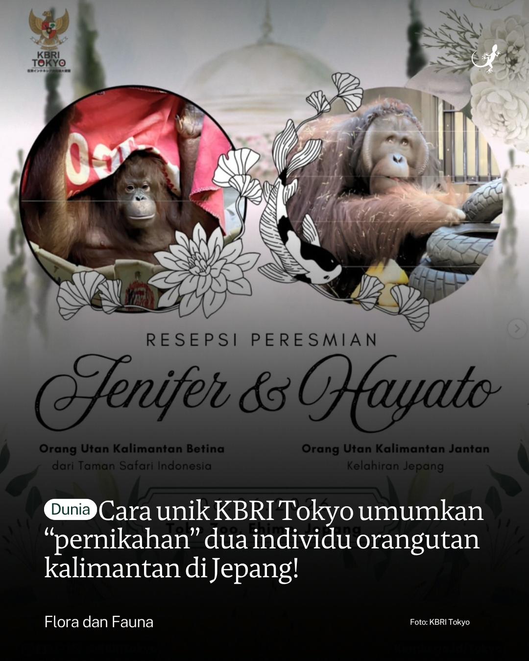 @mongabayindonesia