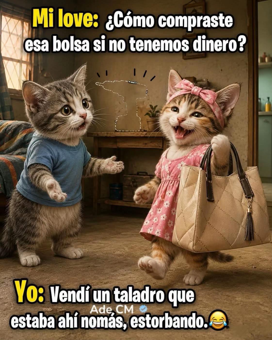 @Angeles Quintero campos