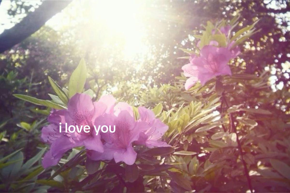 @𓋹 🐞Nyesha 𓏲ּ𝄢