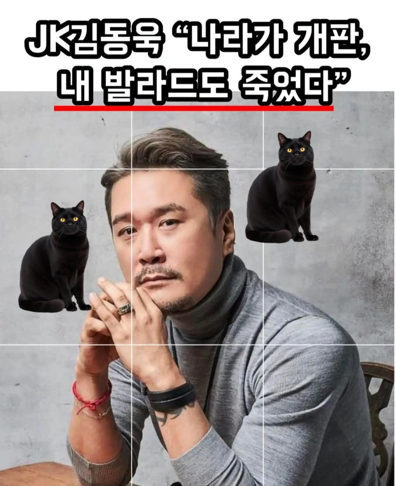 @🌺시라소니[본]🌺
