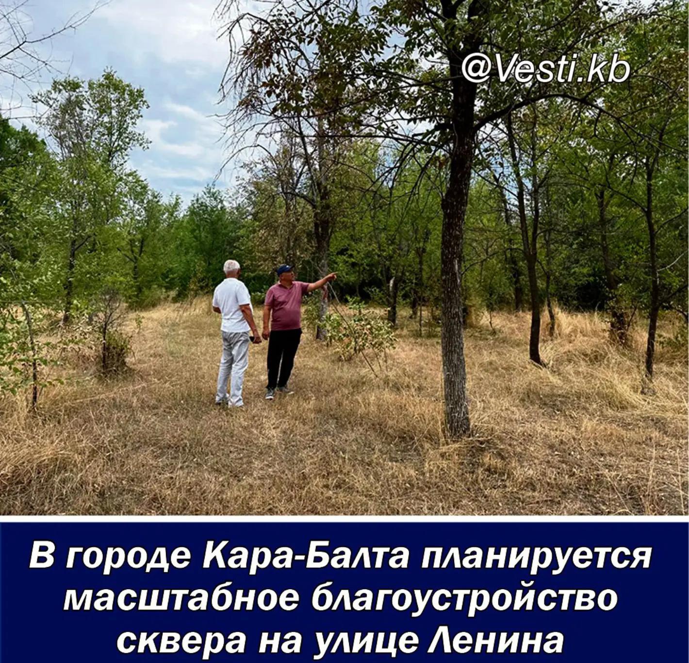 @vesti.kb