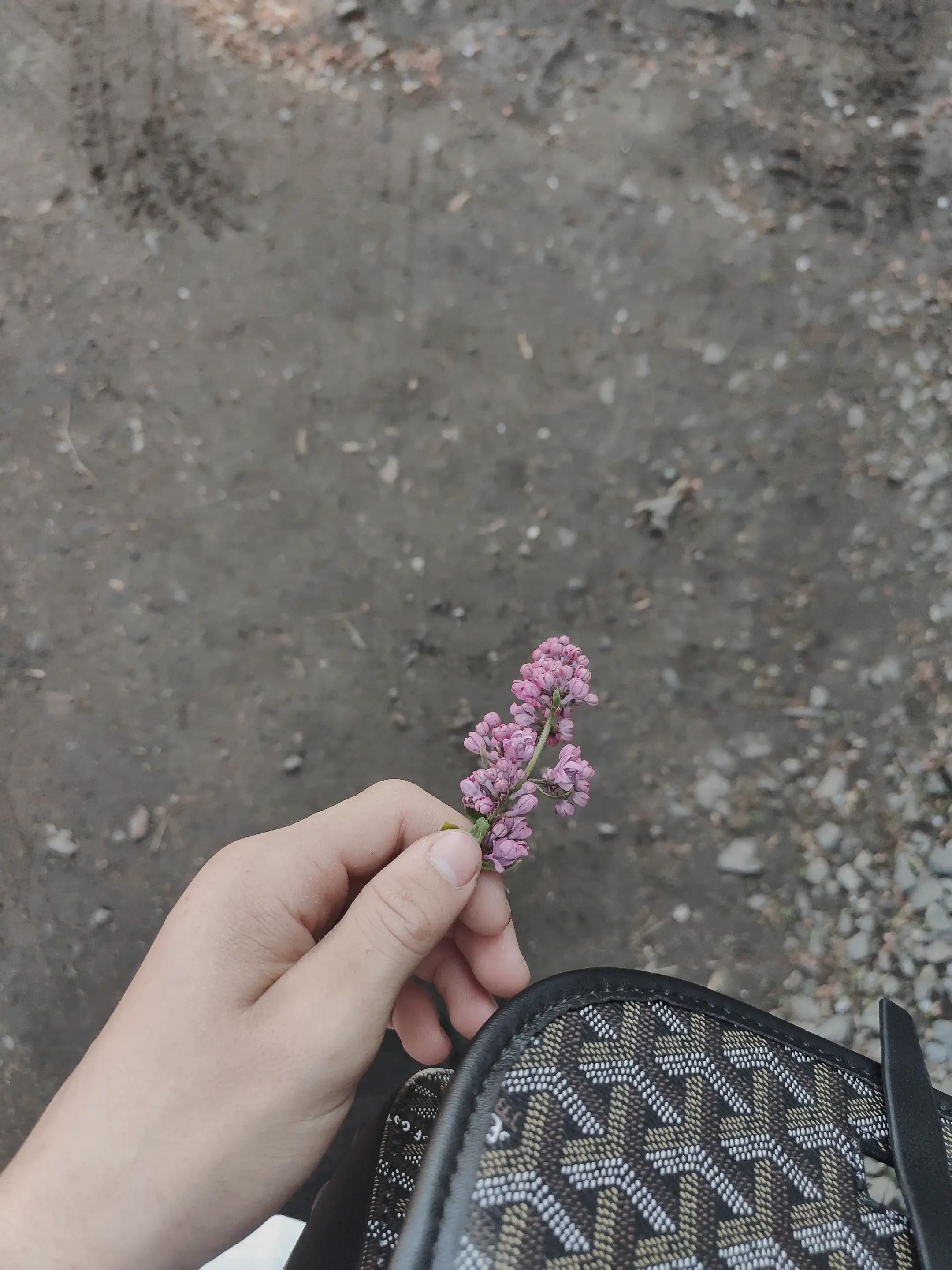 @frikovv #ПМ