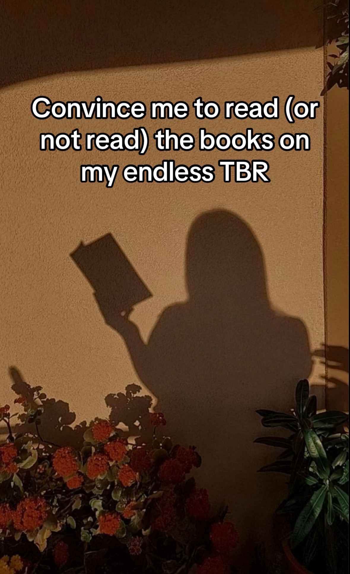 @She Reads That 🫶🏼🧚🏼♂️