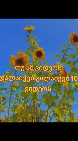 @๐ ๐๐ข๐ ๐๐ข๐ฆ