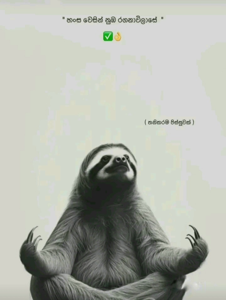@๐๐ฎ๐ป๐๐ฎ๐น๐ฎ ๐
