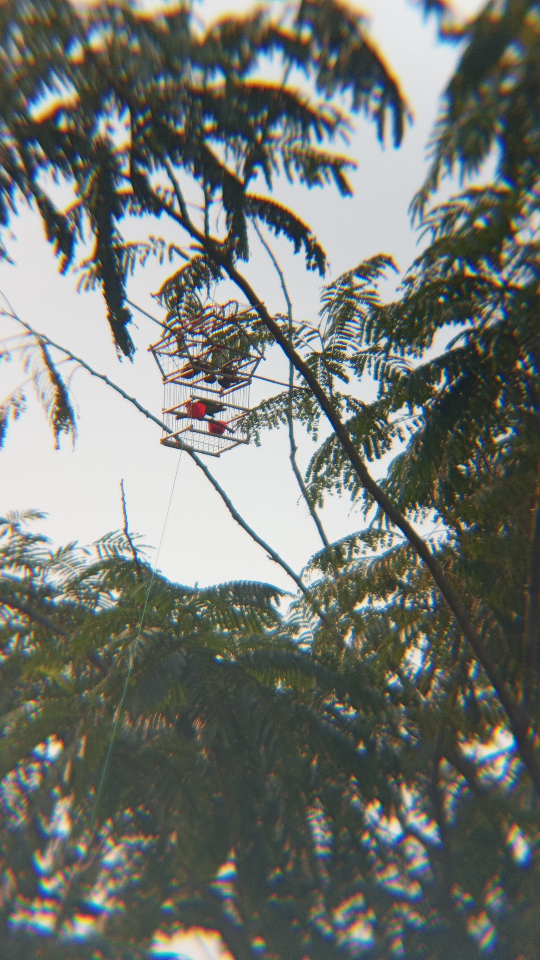 @Srindit kaltara 🦜