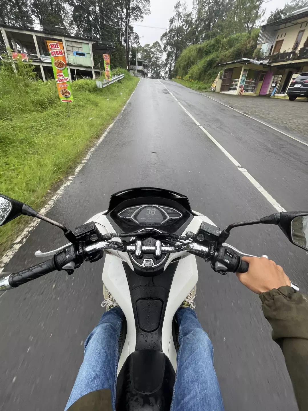 @lembu_simbah