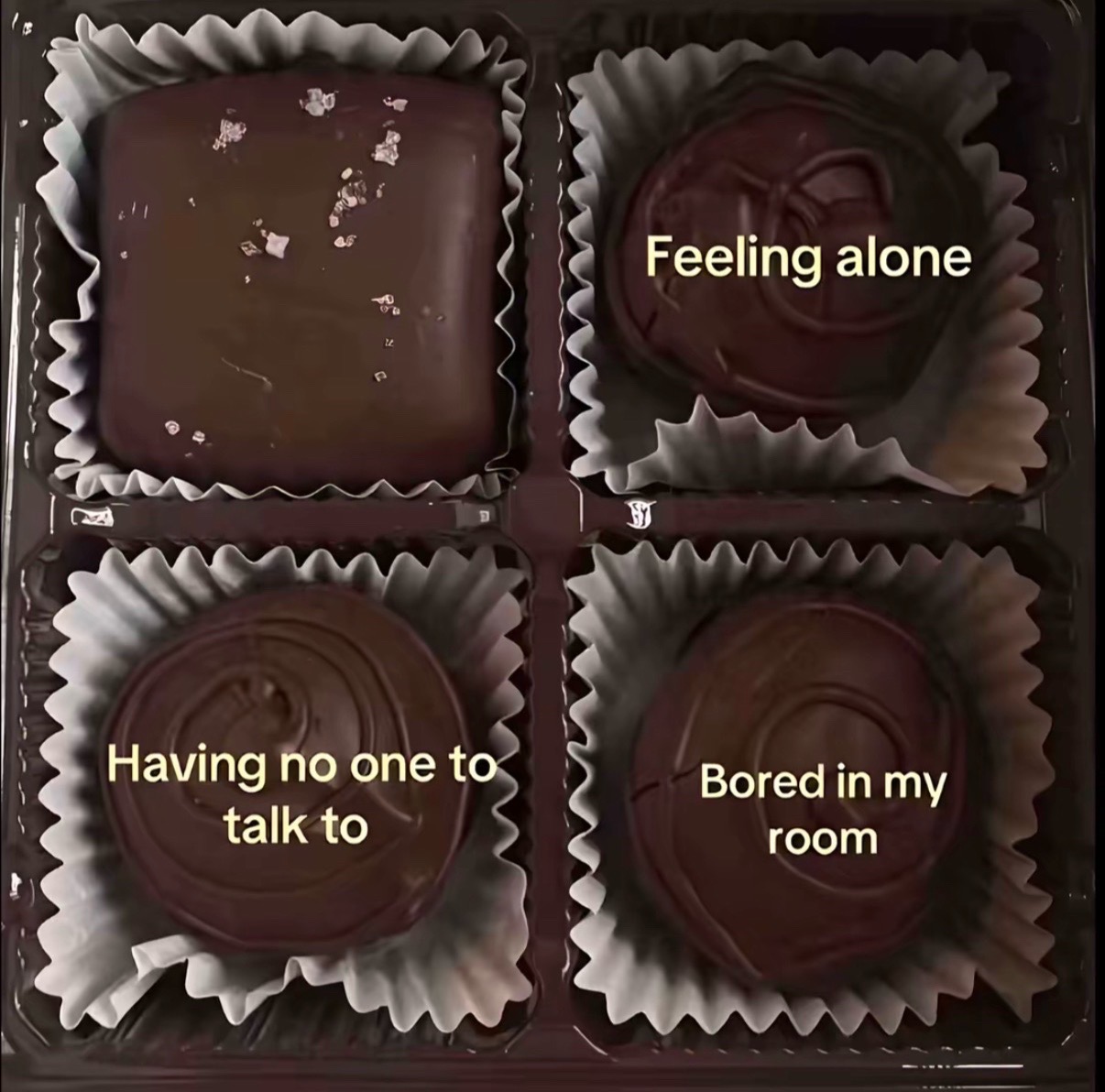 @ellie 🦢