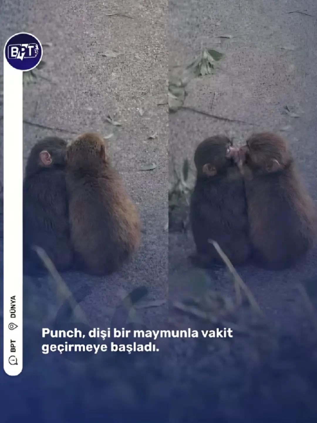 @Sahra