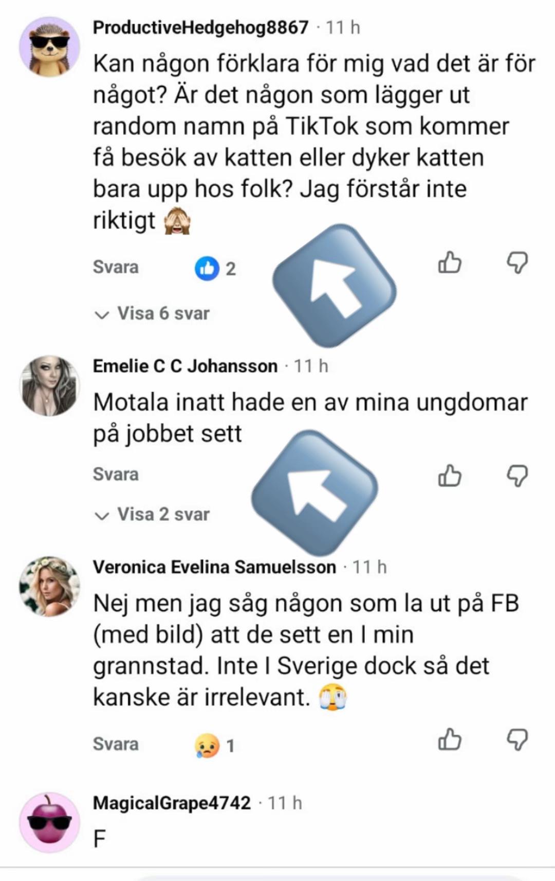 @Kattenihatten(motala)