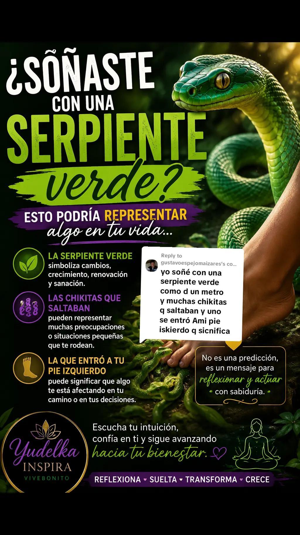 @Vivebonito