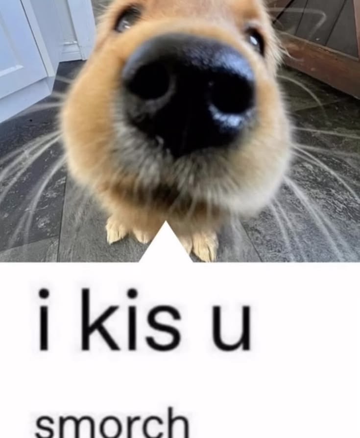 @Adriamoder